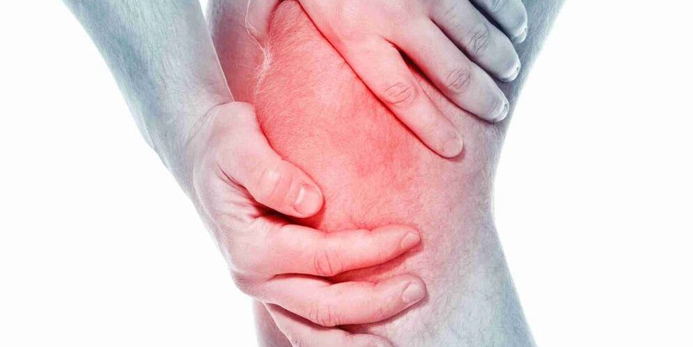 Pain in a curved or straight knee is a symptom for the osteoarthritis of the knee joint